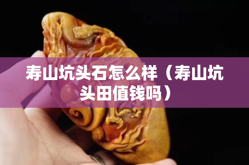 壽山坑頭石怎么樣（壽山坑頭田值錢嗎）