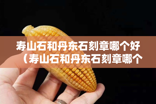 壽山石和丹東石刻章哪個(gè)好（壽山石和丹東石刻章哪個(gè)好一點(diǎn)）