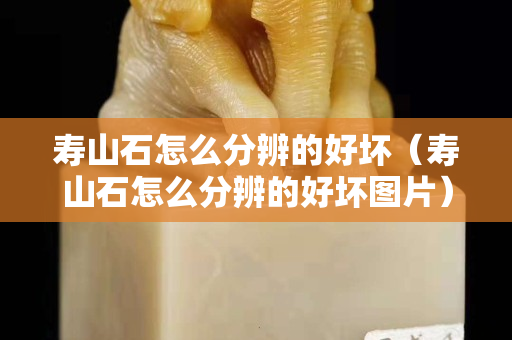 壽山石怎么分辨的好壞（壽山石怎么分辨的好壞圖片）