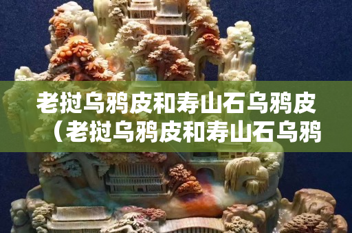 老撾烏鴉皮和壽山石烏鴉皮（老撾烏鴉皮和壽山石烏鴉皮哪個貴）