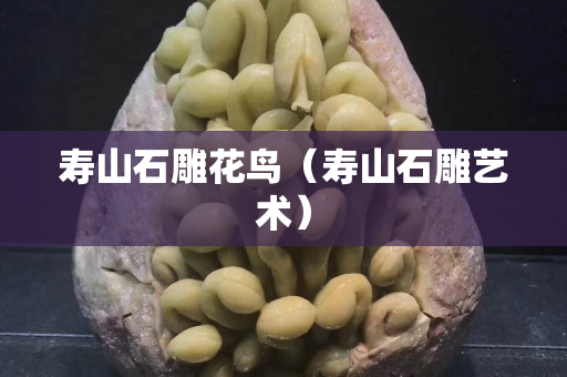 壽山石雕花鳥（壽山石雕藝術）