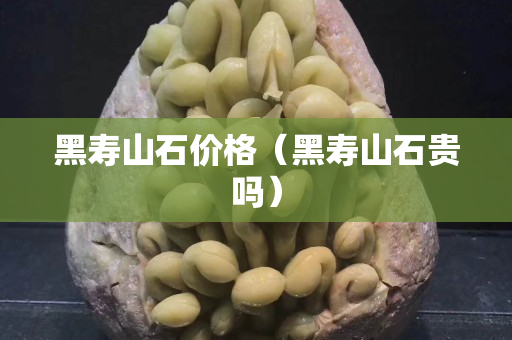 黑壽山石價格（黑壽山石貴嗎）