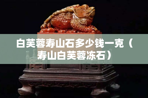 白芙蓉壽山石多少錢一克（壽山白芙蓉凍石）