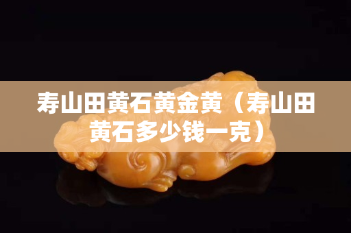 壽山田黃石黃金黃（壽山田黃石多少錢(qián)一克）