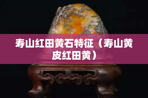 壽山紅田黃石特征（壽山黃皮紅田黃）