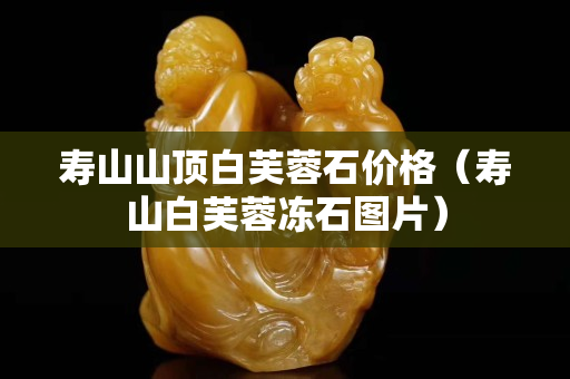 壽山山頂白芙蓉石價格（壽山白芙蓉凍石圖片）