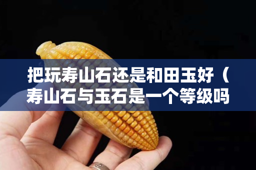 把玩壽山石還是和田玉好（壽山石與玉石是一個等級嗎）