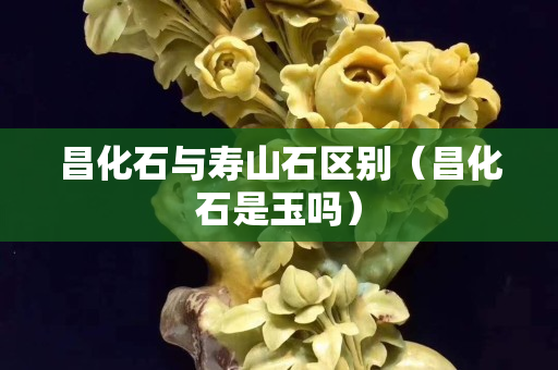昌化石與壽山石區(qū)別（昌化石是玉嗎）