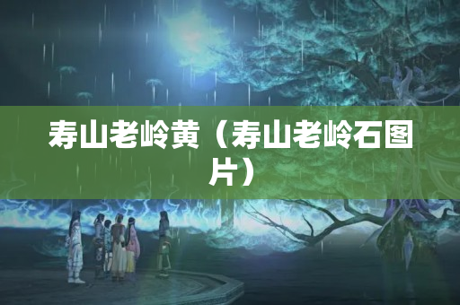 壽山老嶺黃（壽山老嶺石圖片）