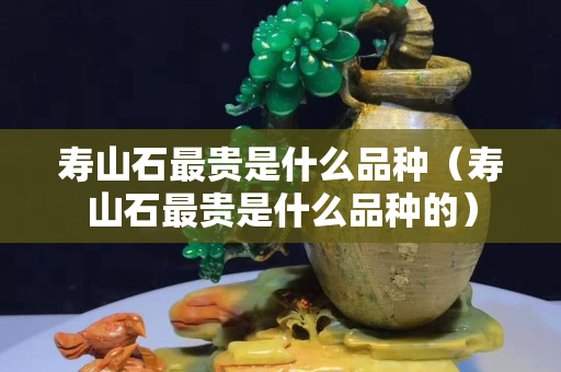 壽山石最貴是什么品種（壽山石最貴是什么品種的）