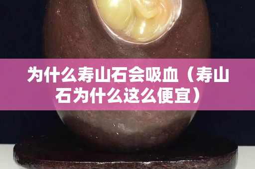 為什么壽山石會吸血（壽山石為什么這么便宜）