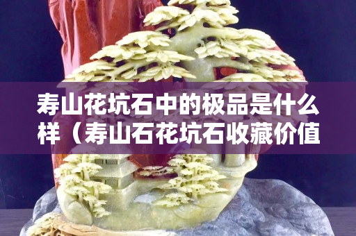 壽山花坑石中的極品是什么樣（壽山石花坑石收藏價值）