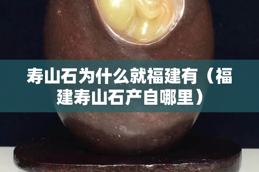 壽山石為什么就福建有（福建壽山石產自哪里）