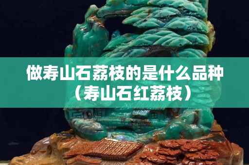 做壽山石荔枝的是什么品種（壽山石紅荔枝）