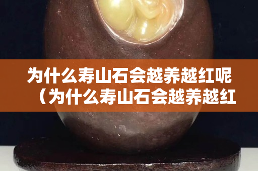為什么壽山石會越養越紅呢（為什么壽山石會越養越紅呢怎么回事）