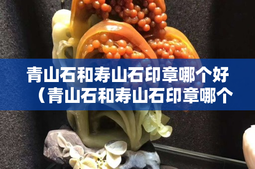青山石和壽山石印章哪個好（青山石和壽山石印章哪個好看）