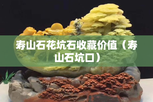 壽山石花坑石收藏價值（壽山石坑口）
