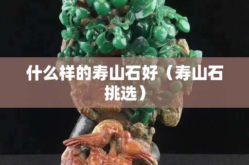 什么樣的壽山石好（壽山石挑選）
