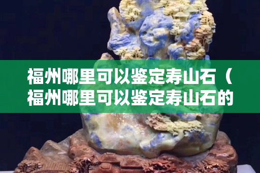 福州哪里可以鑒定壽山石（福州哪里可以鑒定壽山石的真假）