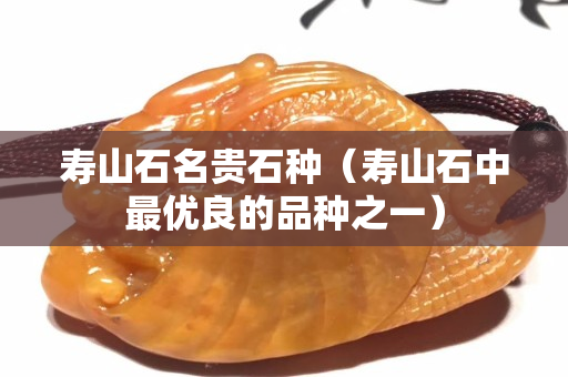 壽山石名貴石種（壽山石中最優良的品種之一）
