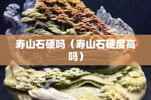 壽山石硬嗎（壽山石硬度高嗎）