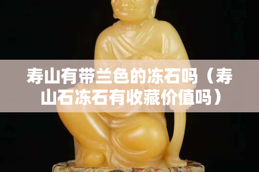 壽山有帶蘭色的凍石嗎（壽山石凍石有收藏價值嗎）