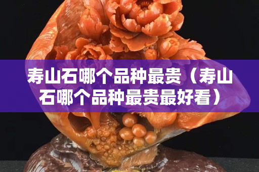 壽山石哪個品種最貴（壽山石哪個品種最貴最好看）