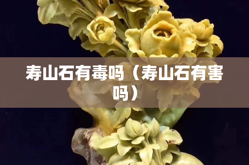 壽山石有毒嗎（壽山石有害嗎）
