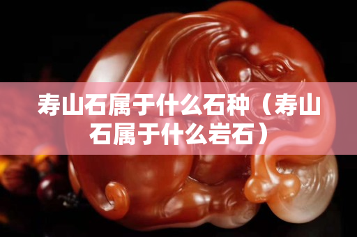 壽山石屬于什么石種（壽山石屬于什么巖石）