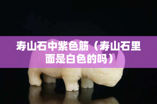 壽山石中紫色筋（壽山石里面是白色的嗎）