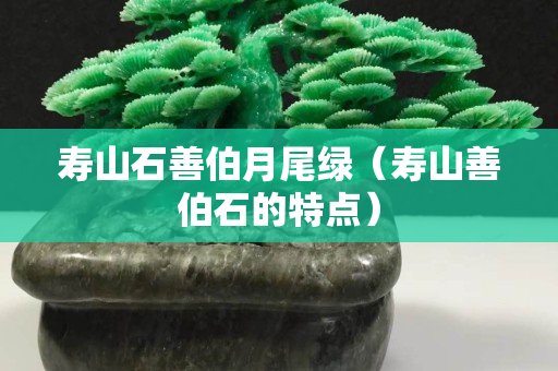 壽山石善伯月尾綠（壽山善伯石的特點）