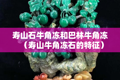 壽山石牛角凍和巴林牛角凍（壽山牛角凍石的特征）