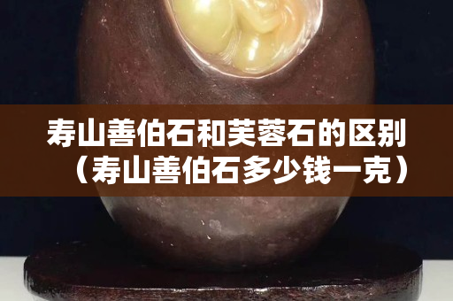 壽山善伯石和芙蓉石的區別（壽山善伯石多少錢一克）