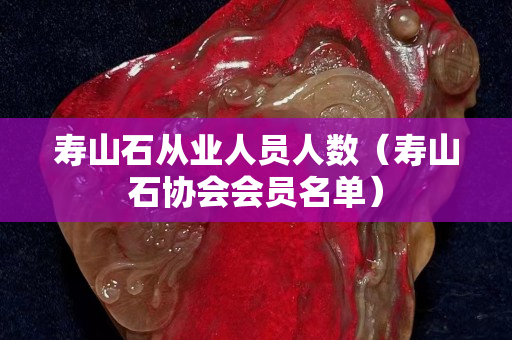 壽山石從業(yè)人員人數（壽山石協會會員名單）