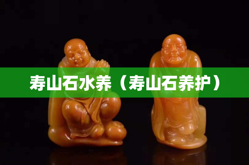壽山石水養(yǎng)（壽山石養(yǎng)護(hù)）