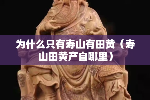 為什么只有壽山有田黃（壽山田黃產(chǎn)自哪里）