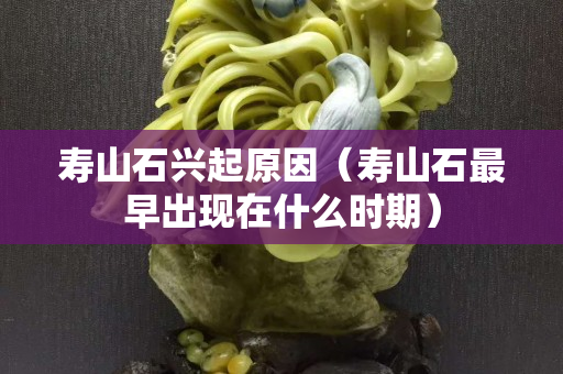 壽山石興起原因（壽山石最早出現在什么時期）