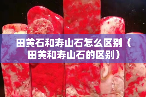 田黃石和壽山石怎么區別（田黃和壽山石的區別）