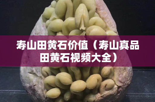 壽山田黃石價值（壽山真品田黃石視頻大全）
