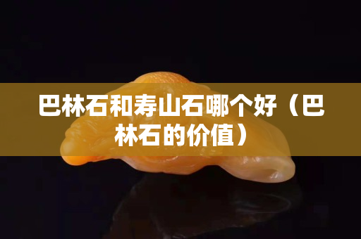 巴林石和壽山石哪個(gè)好（巴林石的價(jià)值）