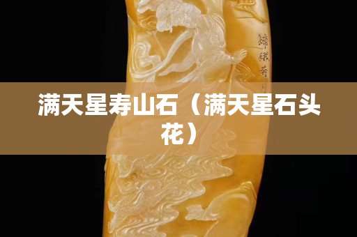 滿天星壽山石（滿天星石頭花）