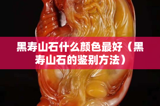 黑壽山石什么顏色最好（黑壽山石的鑒別方法）