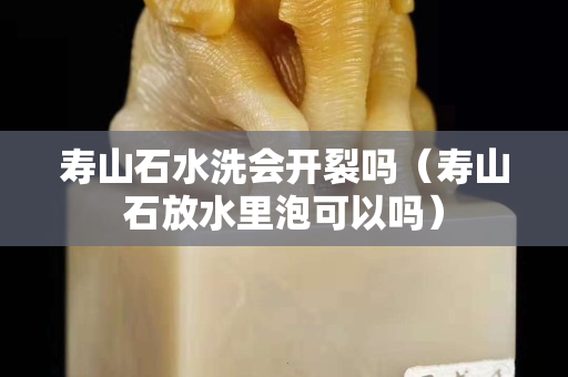 壽山石水洗會開裂嗎（壽山石放水里泡可以嗎）