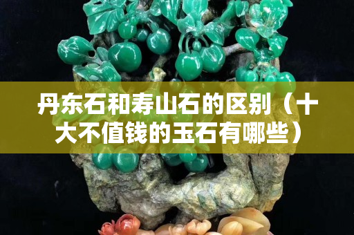 丹東石和壽山石的區別（十大不值錢的玉石有哪些）