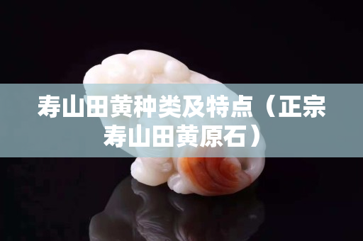 壽山田黃種類及特點(diǎn)（正宗壽山田黃原石）