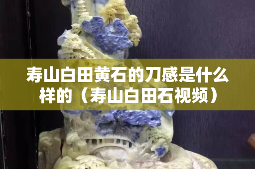 壽山白田黃石的刀感是什么樣的（壽山白田石視頻）