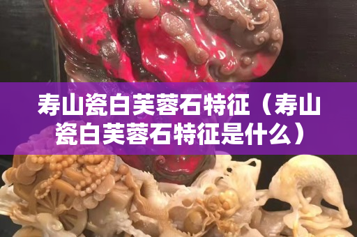 壽山瓷白芙蓉石特征（壽山瓷白芙蓉石特征是什么）
