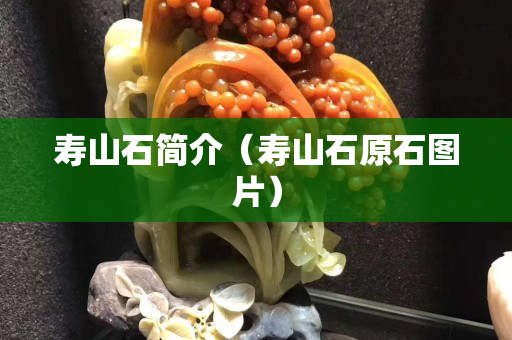 壽山石簡介（壽山石原石圖片）