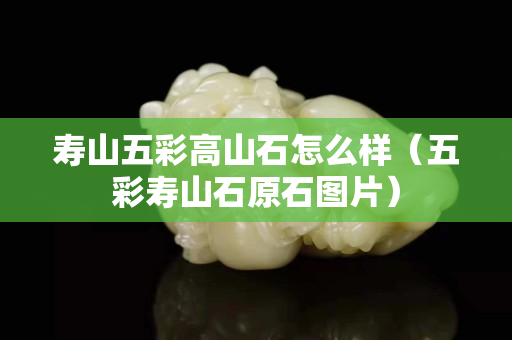 壽山五彩高山石怎么樣（五彩壽山石原石圖片）