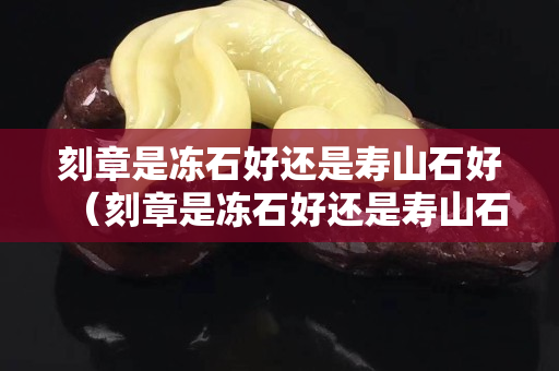 刻章是凍石好還是壽山石好（刻章是凍石好還是壽山石好呢）
